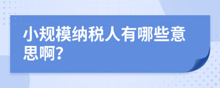 小规模纳税人有哪些意思啊？