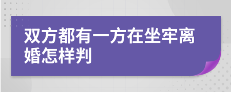 双方都有一方在坐牢离婚怎样判