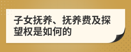 子女抚养、抚养费及探望权是如何的