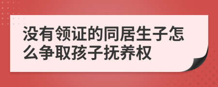 没有领证的同居生子怎么争取孩子抚养权