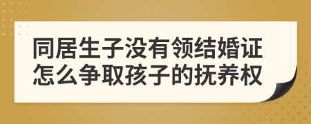 同居生子没有领结婚证怎么争取孩子的抚养权