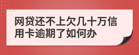 网贷还不上欠几十万信用卡逾期了如何办