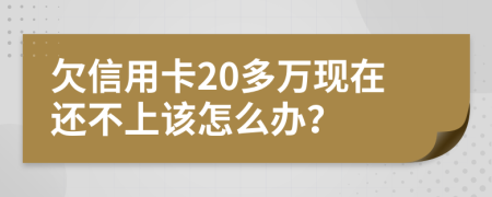 欠信用卡20多万现在还不上该怎么办？