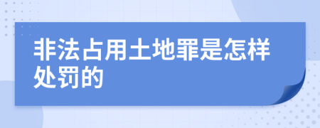 非法占用土地罪是怎样处罚的