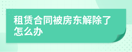 租赁合同被房东解除了怎么办