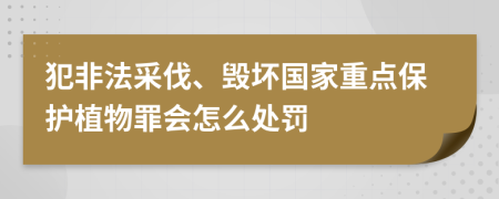 犯非法采伐、毁坏国家重点保护植物罪会怎么处罚
