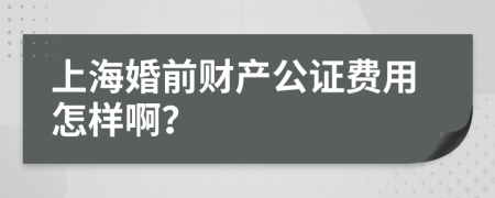 上海婚前财产公证费用怎样啊？