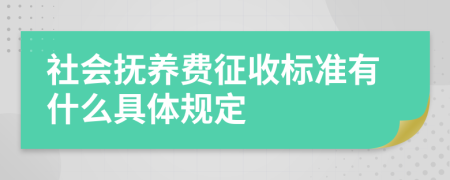 社会抚养费征收标准有什么具体规定