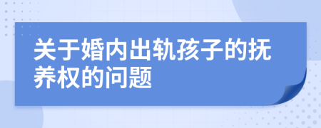 关于婚内出轨孩子的抚养权的问题