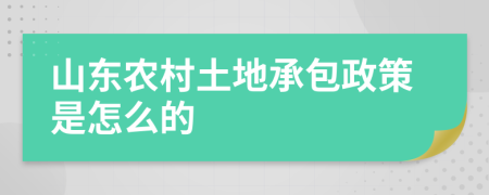 山东农村土地承包政策是怎么的