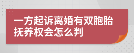 一方起诉离婚有双胞胎抚养权会怎么判