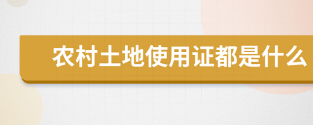 农村土地使用证都是什么