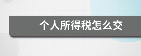 个人所得税怎么交