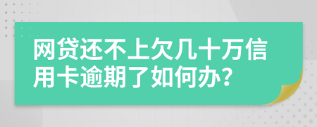 网贷还不上欠几十万信用卡逾期了如何办？