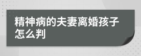 精神病的夫妻离婚孩子怎么判