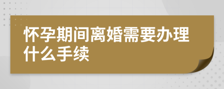 怀孕期间离婚需要办理什么手续