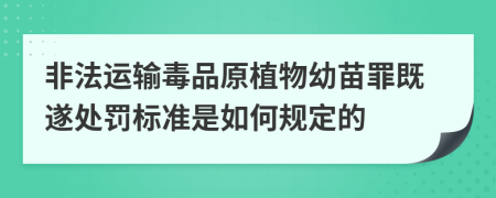 非法运输毒品原植物幼苗罪既遂处罚标准是如何规定的