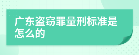 广东盗窃罪量刑标准是怎么的