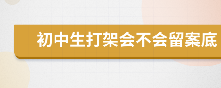初中生打架会不会留案底