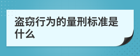 盗窃行为的量刑标准是什么