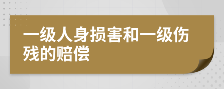 一级人身损害和一级伤残的赔偿