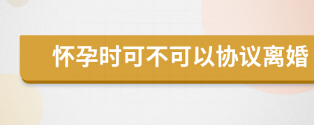 怀孕时可不可以协议离婚