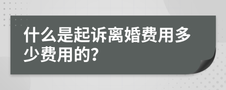 什么是起诉离婚费用多少费用的？