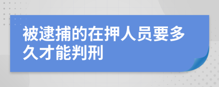 被逮捕的在押人员要多久才能判刑