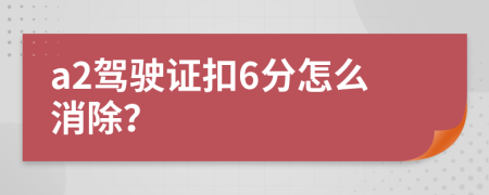 a2驾驶证扣6分怎么消除？