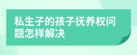 私生子的孩子抚养权问题怎样解决