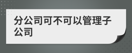 分公司可不可以管理子公司