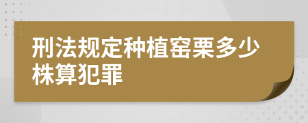 刑法规定种植窑栗多少株算犯罪