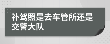 补驾照是去车管所还是交警大队