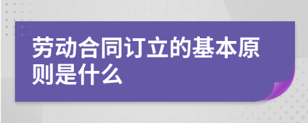 劳动合同订立的基本原则是什么