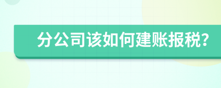 分公司该如何建账报税？