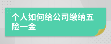 个人如何给公司缴纳五险一金