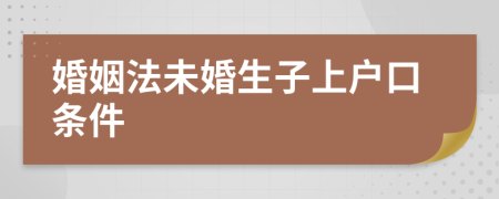 婚姻法未婚生子上户口条件