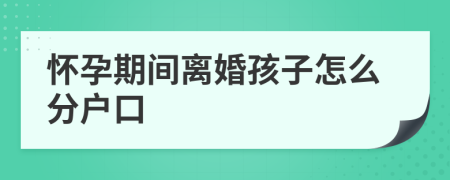 怀孕期间离婚孩子怎么分户口