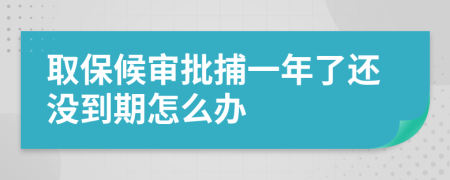 取保候审批捕一年了还没到期怎么办