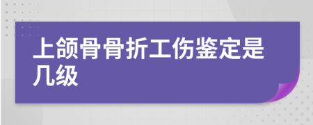 上颌骨骨折工伤鉴定是几级