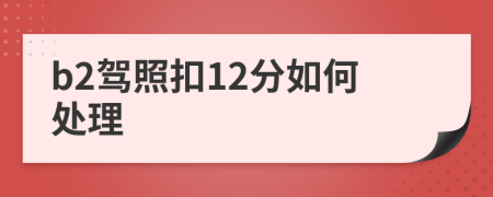 b2驾照扣12分如何处理