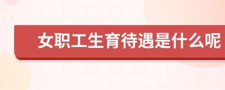 女职工生育待遇是什么呢