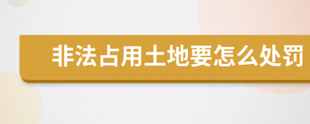 非法占用土地要怎么处罚