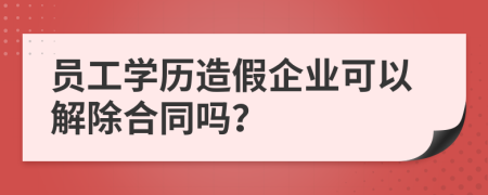 员工学历造假企业可以解除合同吗？