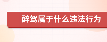 醉驾属于什么违法行为