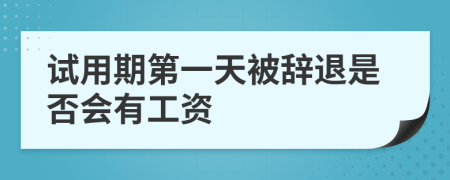 试用期第一天被辞退是否会有工资