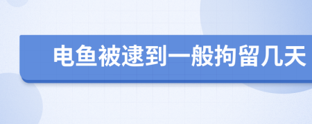 电鱼被逮到一般拘留几天