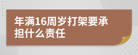 年满16周岁打架要承担什么责任