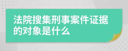 法院搜集刑事案件证据的对象是什么