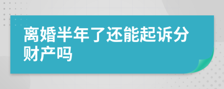 离婚半年了还能起诉分财产吗